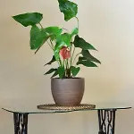 Apartment Heart Of Yesilkoy-green Village Istanbul